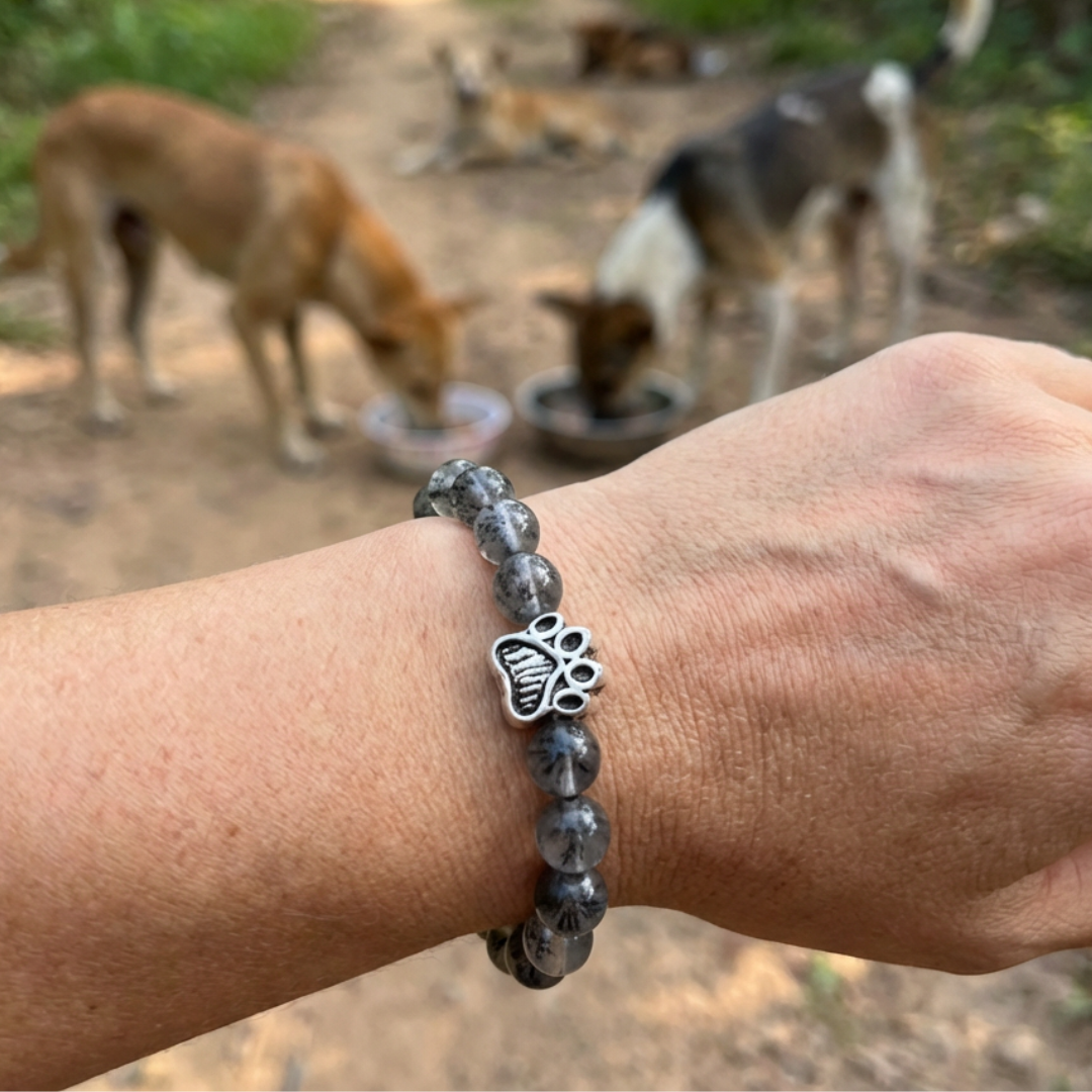 Midnight Black Natural Stone Bead Bracelet | Silver Paw Charm | Gift Box & Dog Stickers | Rescue Charity