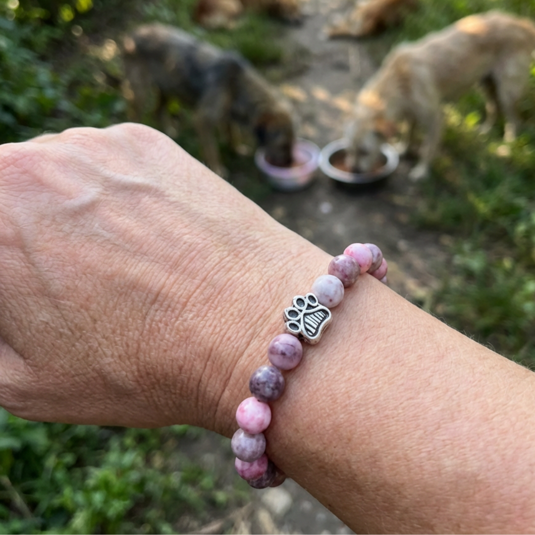 Petal Pink Natural Stone Bead Bracelet | Silver Paw Charm | Gift Box & Dog Stickers | Rescue Charity