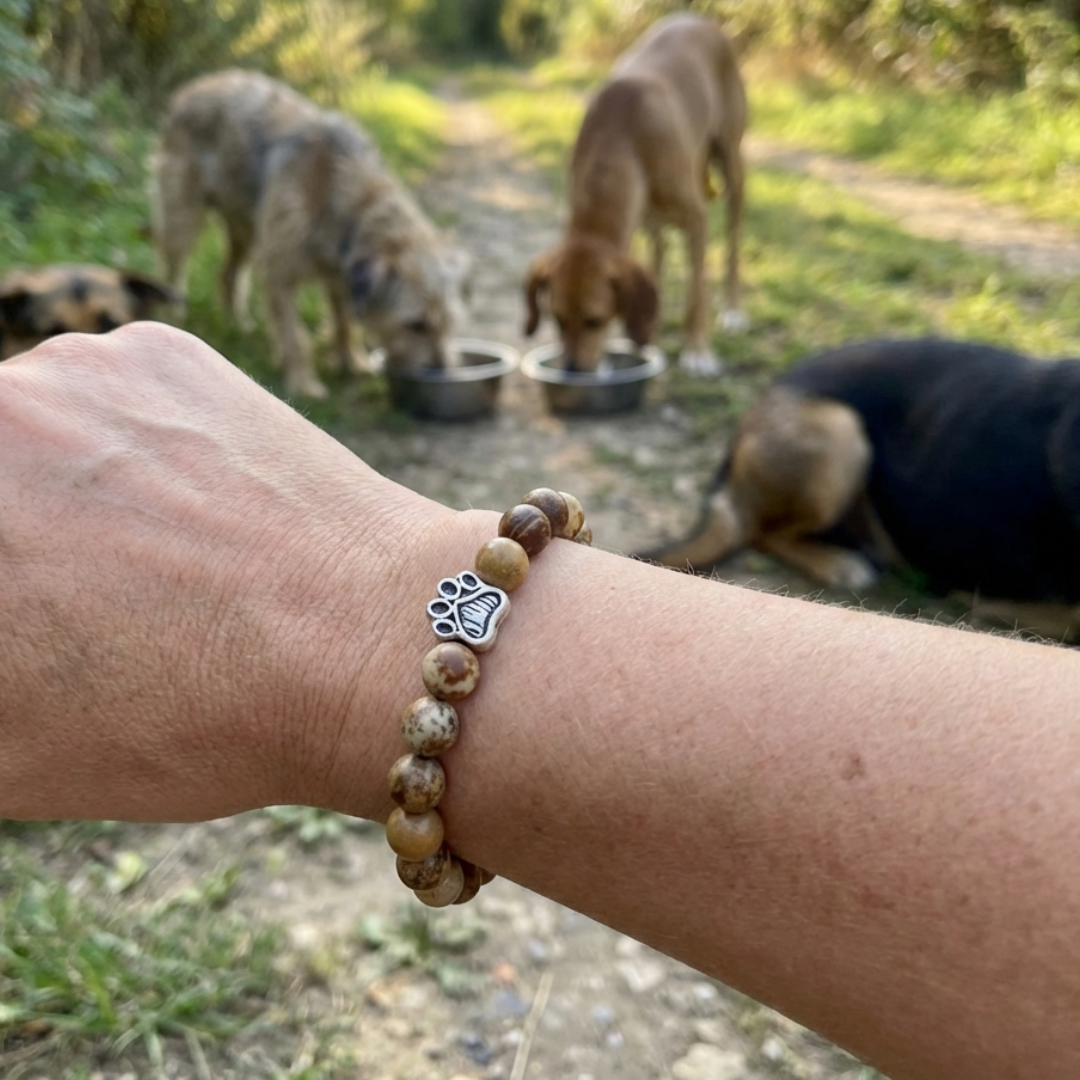 Dune Sand Natural Stone Bead Bracelet | Silver Paw Charm | Gift Box & Dog Stickers | Rescue Charity