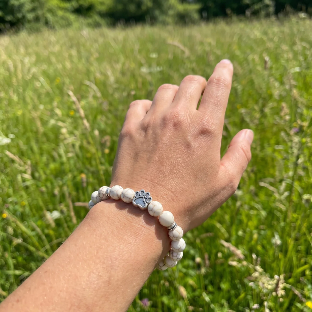 Brume Blue Lava Stone Bead Bracelet | Silver Paw Charm | Gift Box & Dog Stickers | Rescue Charity