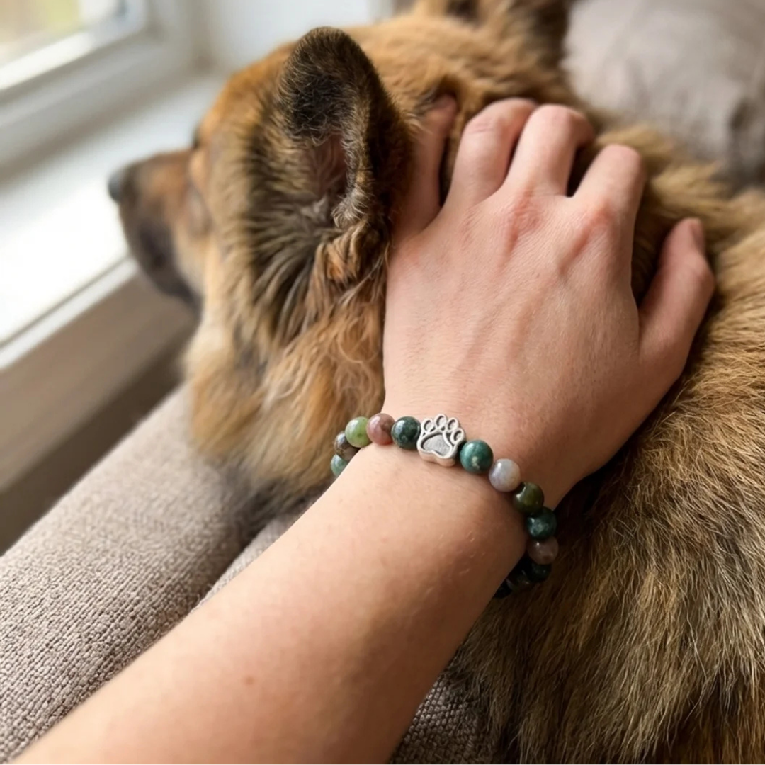 Terra Indian Agate Bead Bracelet | Silver Paw Charm | Rescue Charity