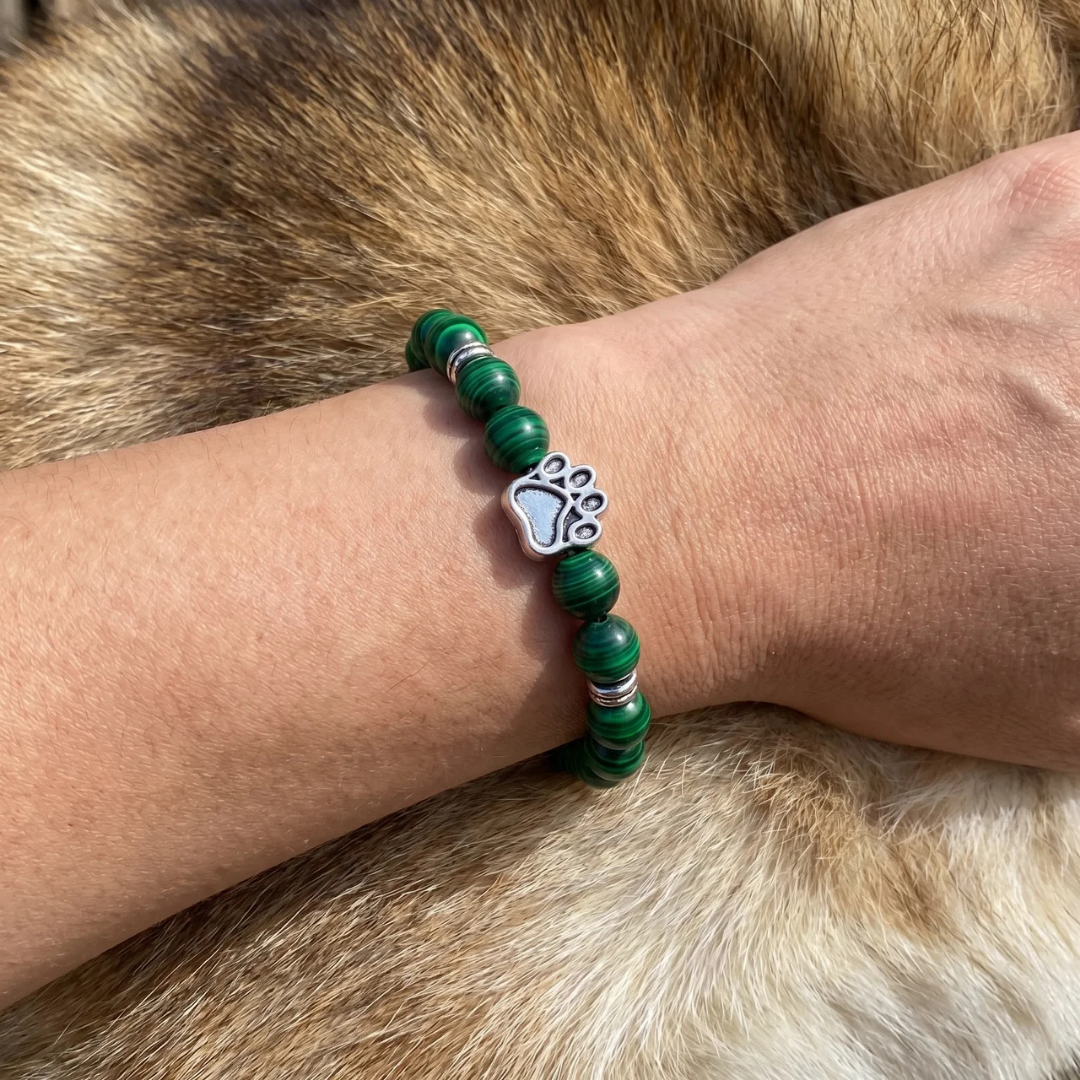 Willow Malachite Bead Bracelet | Silver Paw Charm | Rescue Charity