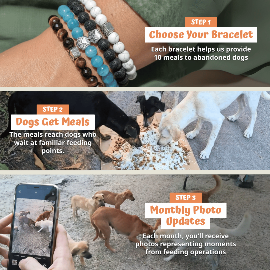 Arctic, Love & Lagoon Natural Stone Bead Bracelet Trio | Paw Charm | Rescue Charity